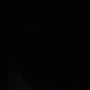 Meet your Posher, Lola